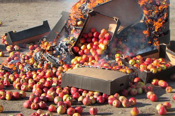 На таможне в Троицке раздавили фуру польских яблок
