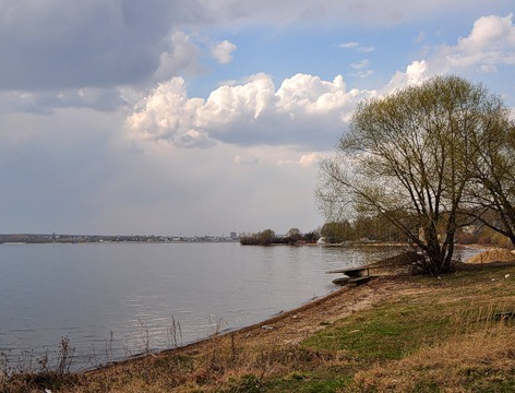 На берегу Шершневского водохранилища высадят 2500 сосен