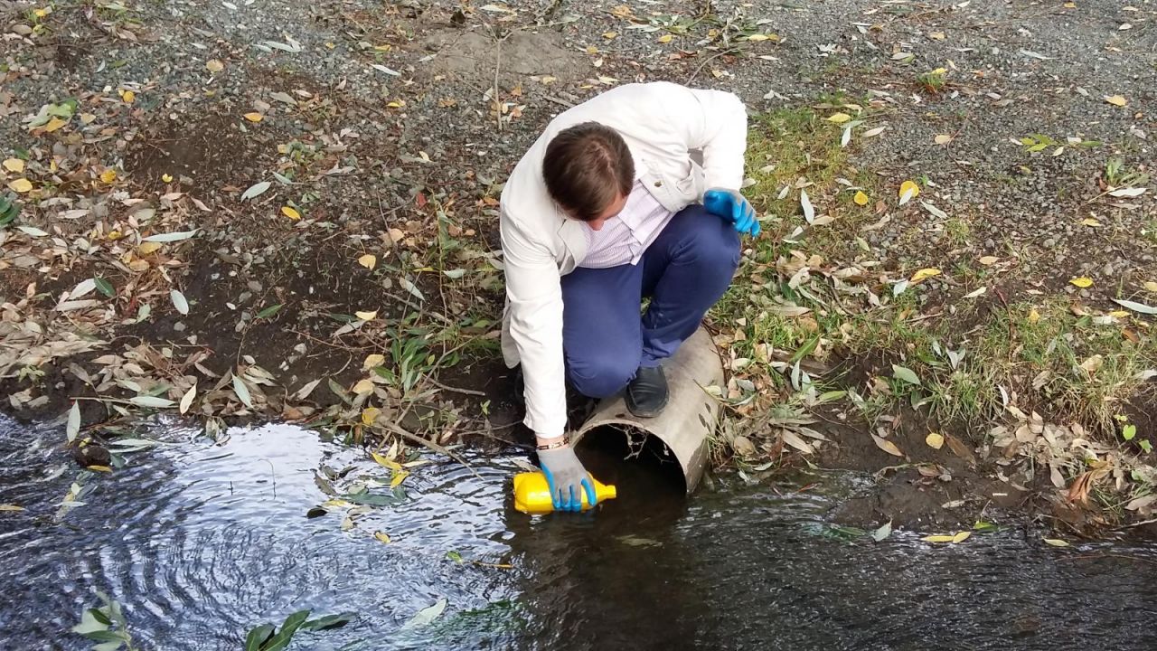 В озеро Смолино потекли лазурные потоки, инспекторы минэкологии выясняют причины