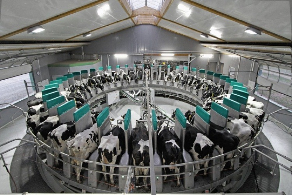 Молочное животноводство Челябинской области успешно завершает год