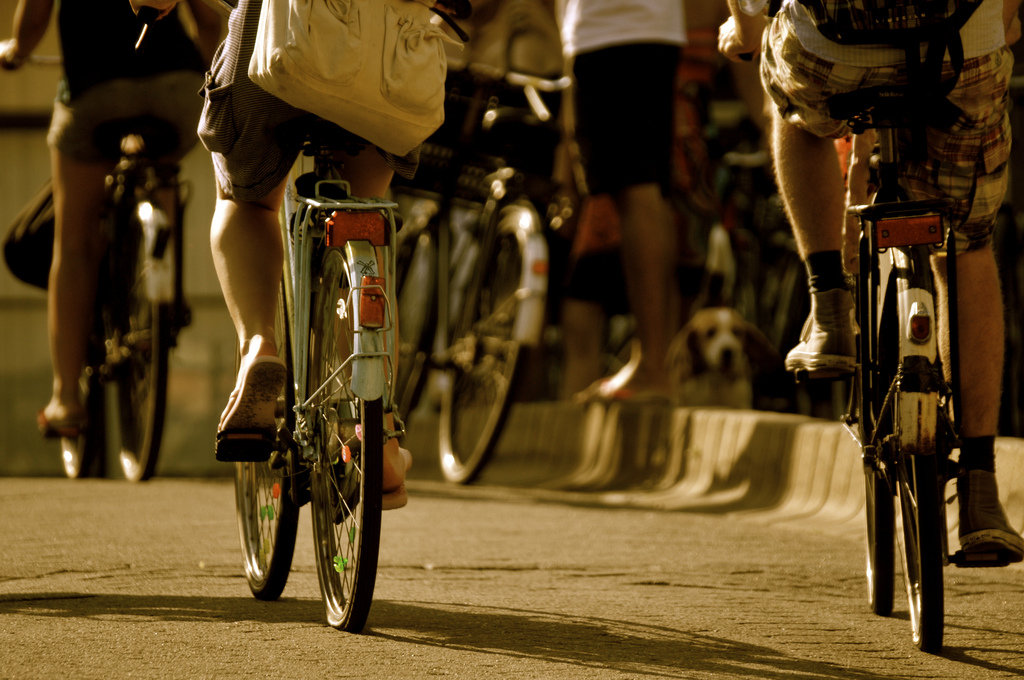Как выбрать велосипед: советы для новичков