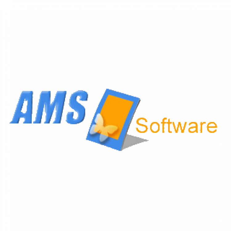 AMS Software: какие возможности у русского софта?