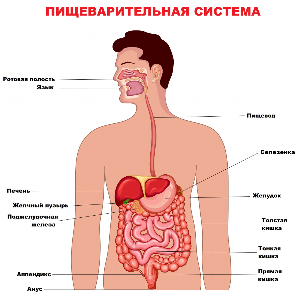 Что такое болезнь крона?