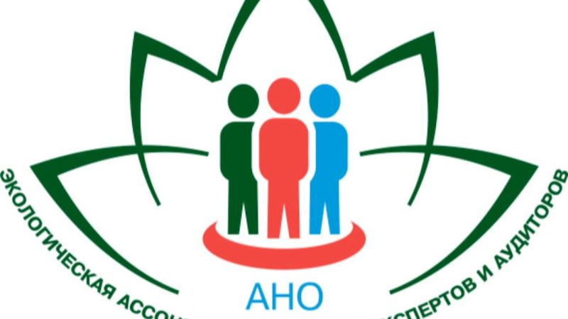 Экологические ассоциации в действии: как совместные усилия преобразуют окружающую среду