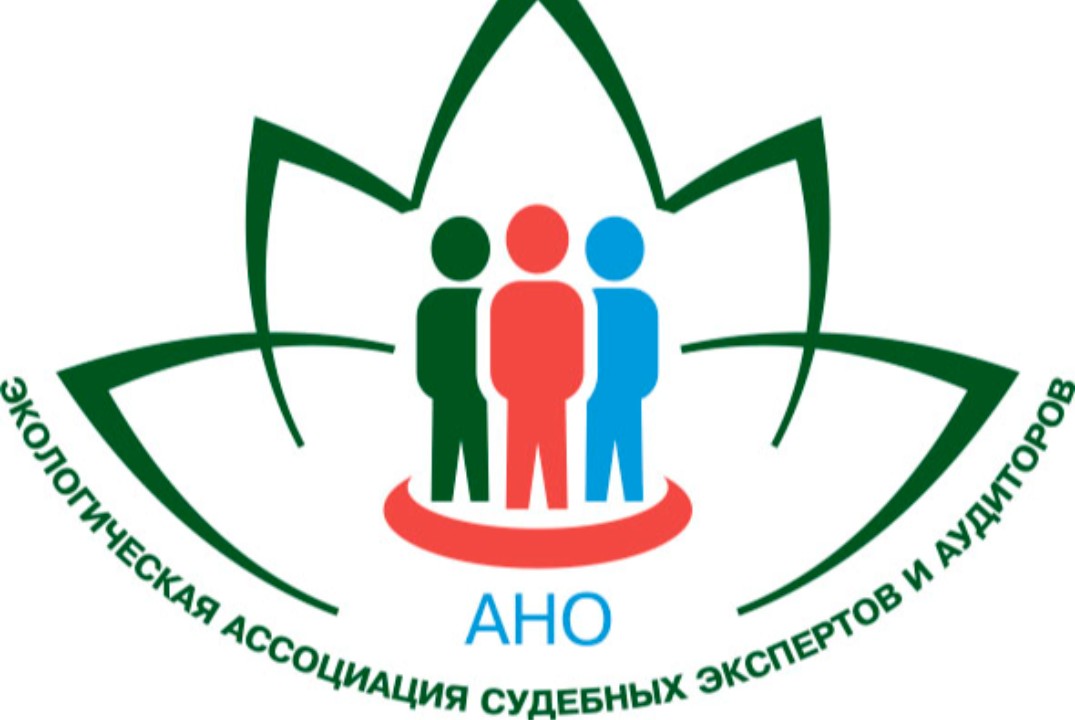 Экологические ассоциации в действии: как совместные усилия преобразуют окружающую среду